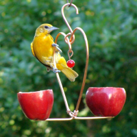 Holland Hill Heirloom Copper Bird Feeders